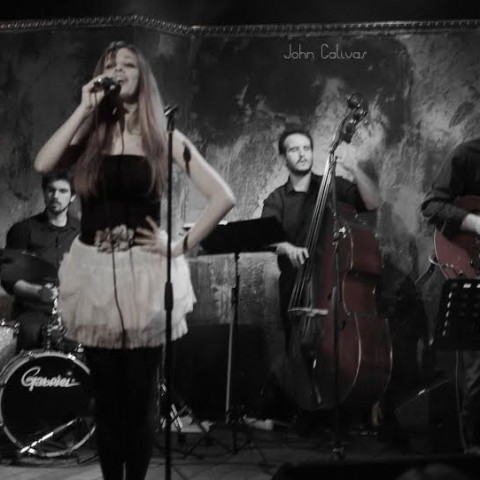 Crime Swing Investigation1